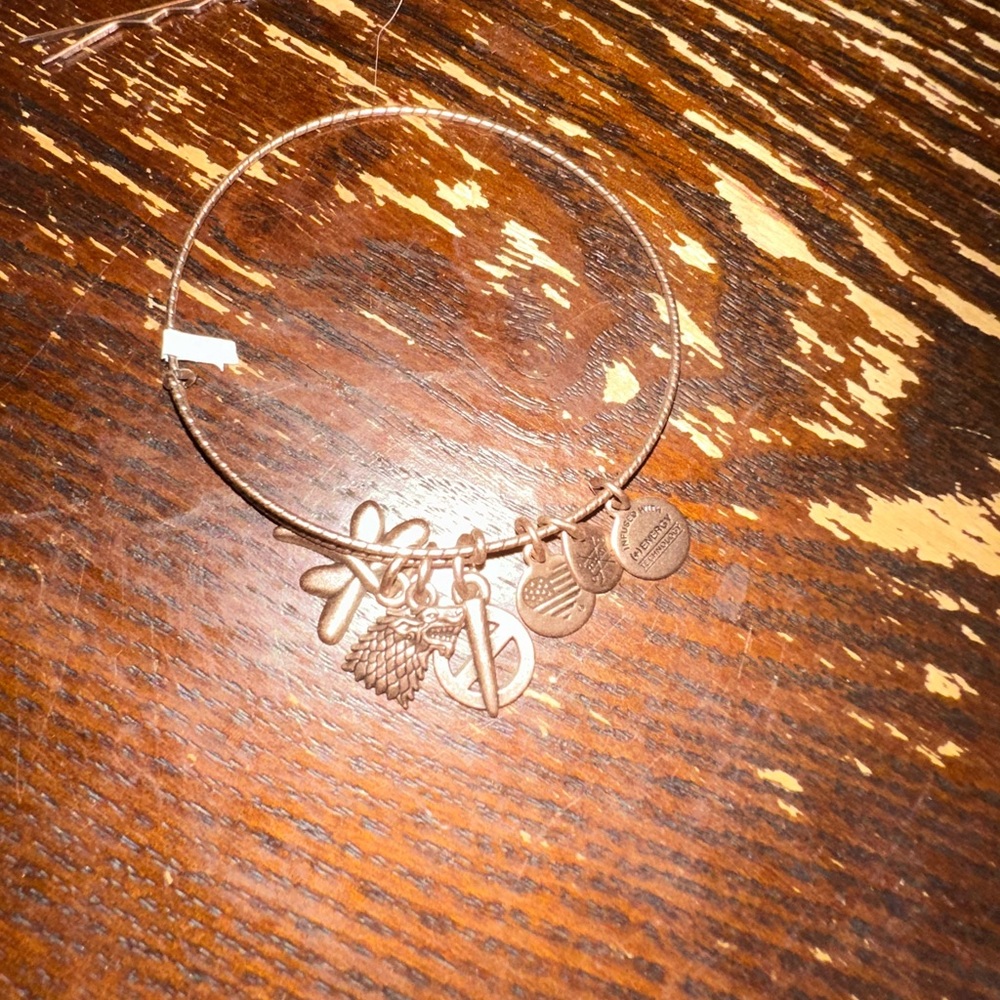 Brand new! Game of thrones! Alex and ani